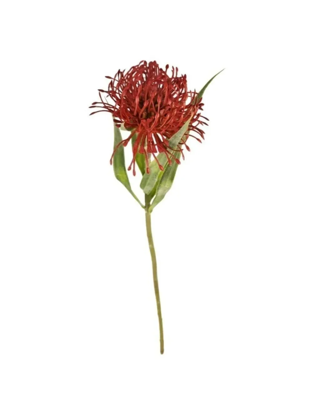Artificial Red Pincushion Protea Stem | Faux Leucospermum Flower | Tropical Flor